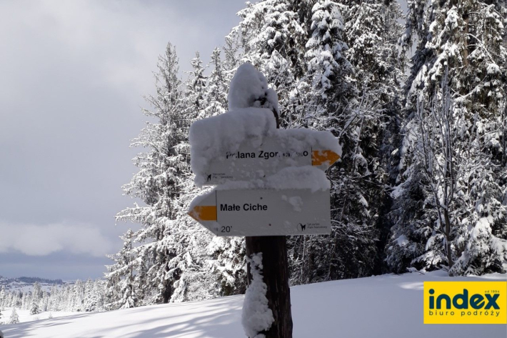 Zimowiska Tatry