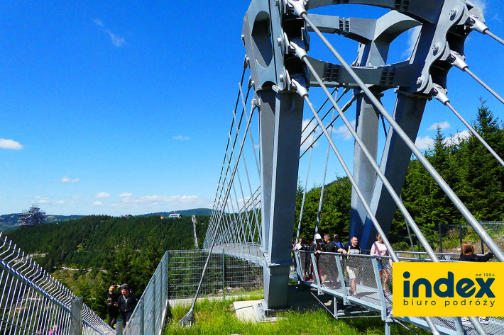 Wycieczka - Sky Bridge - Biuro Podróży INDEX