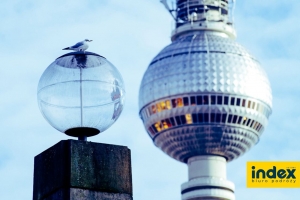 Wycieczka do Berlina Tropical biuro podróży Index