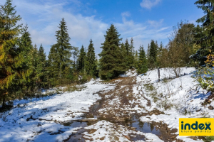 Zimowisko Pieniny